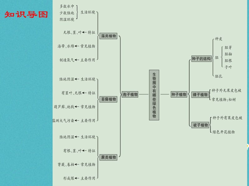 广东省中考生物第三单元生物圈中的绿色植物第一章生物圈中有哪些绿色植物课件_第3页