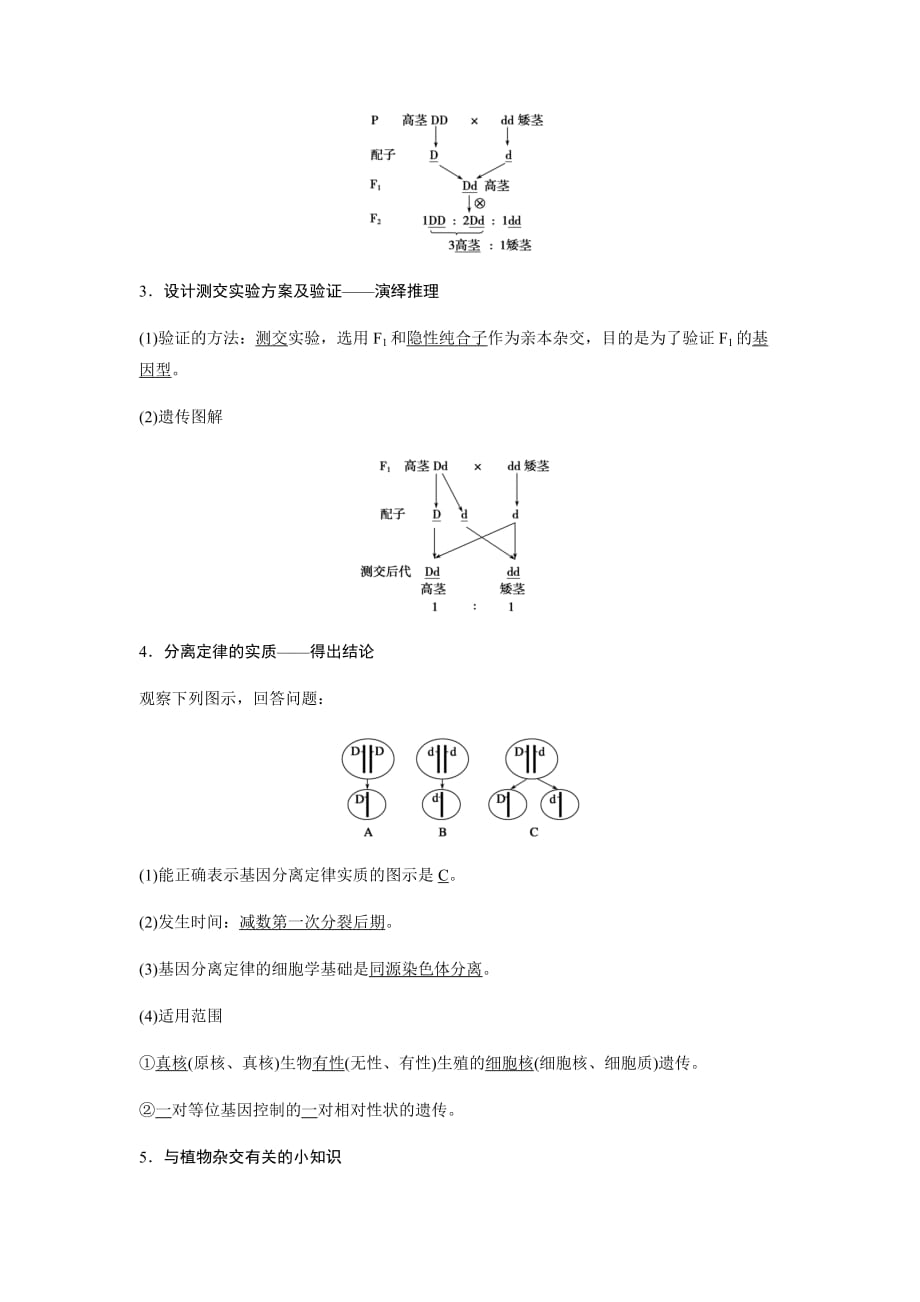 生物必修二基因的分离定律知识点 知识总结 基础梳理_第2页