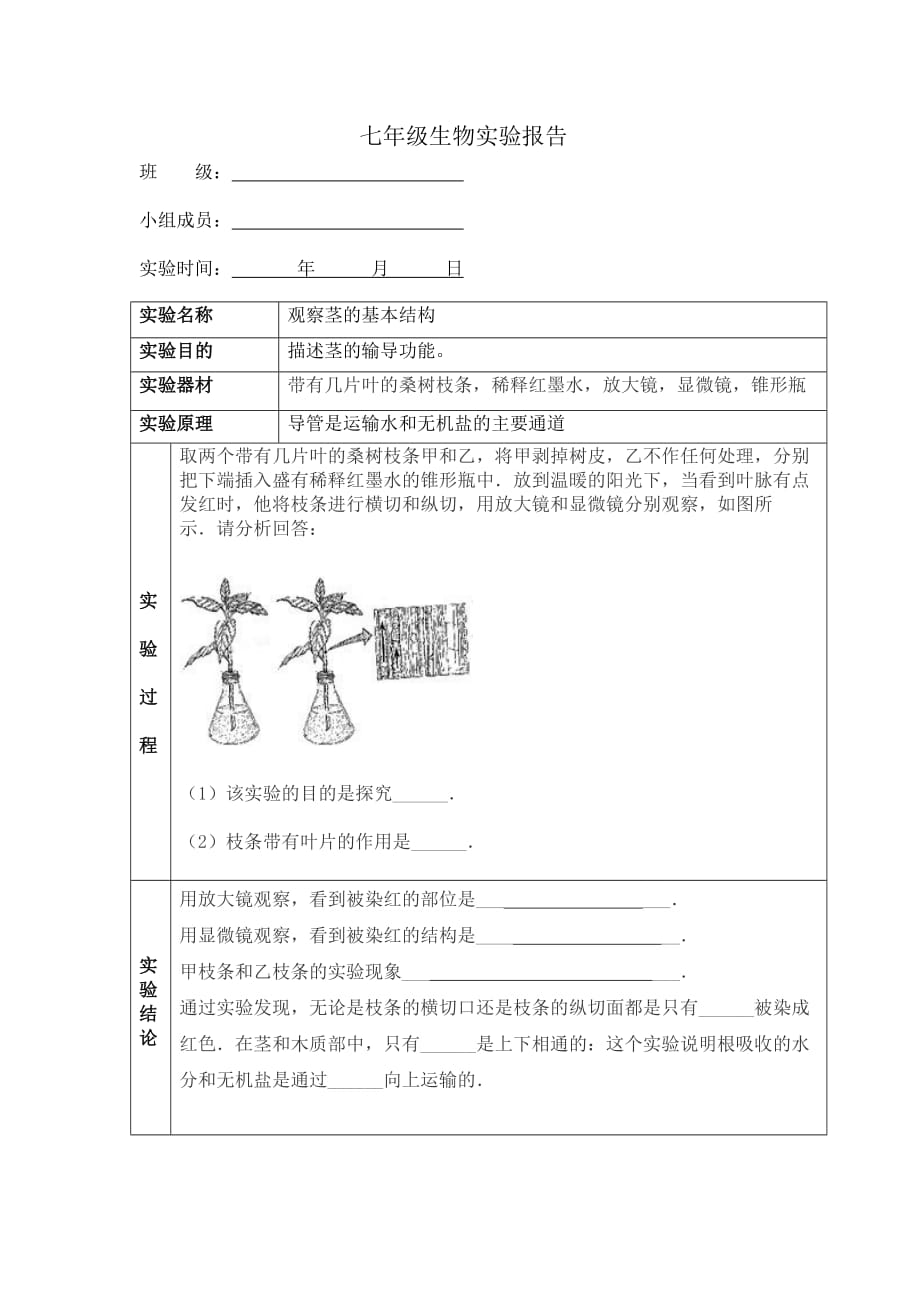 观察茎的结构实验报告_第1页