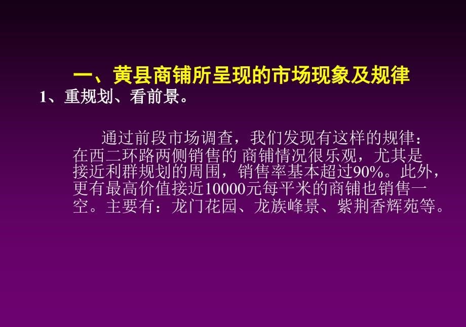 {营销方案}松岚休闲商业步行街整体营销推广方案_第5页