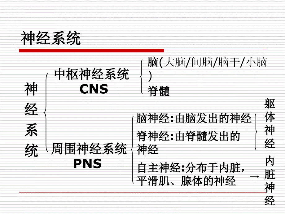 健康评估神经系统课件_第3页