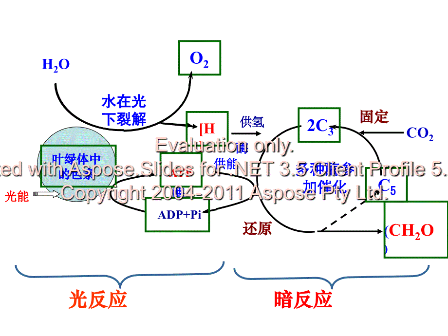 光合作用和呼吸作用复习课课件_第4页