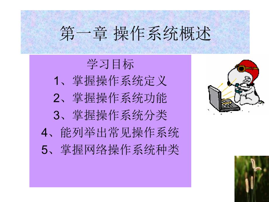 {管理信息化信息化知识}操作系统概述_第1页