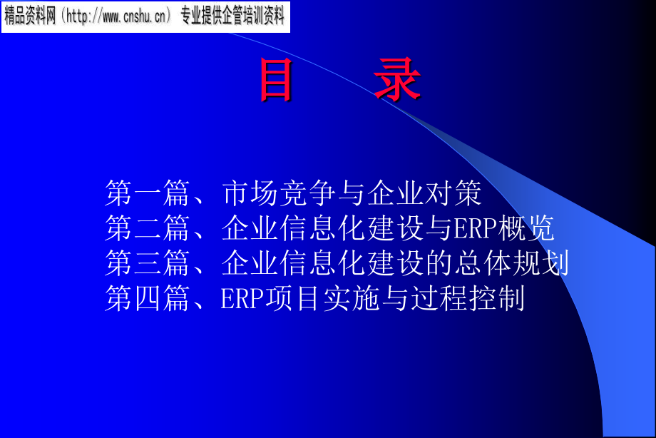 {管理信息化ERPMRP}企业信息化建设与ERP概览_第2页