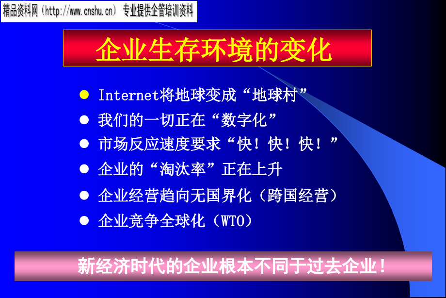 {管理信息化ERPMRP}企业信息化建设与ERP概览_第4页