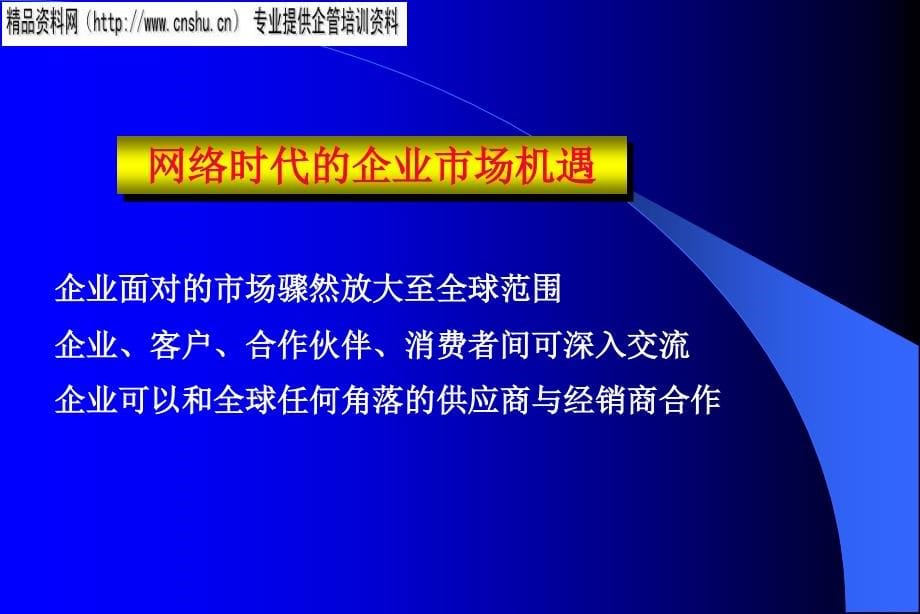 {管理信息化ERPMRP}企业信息化建设与ERP概览_第5页