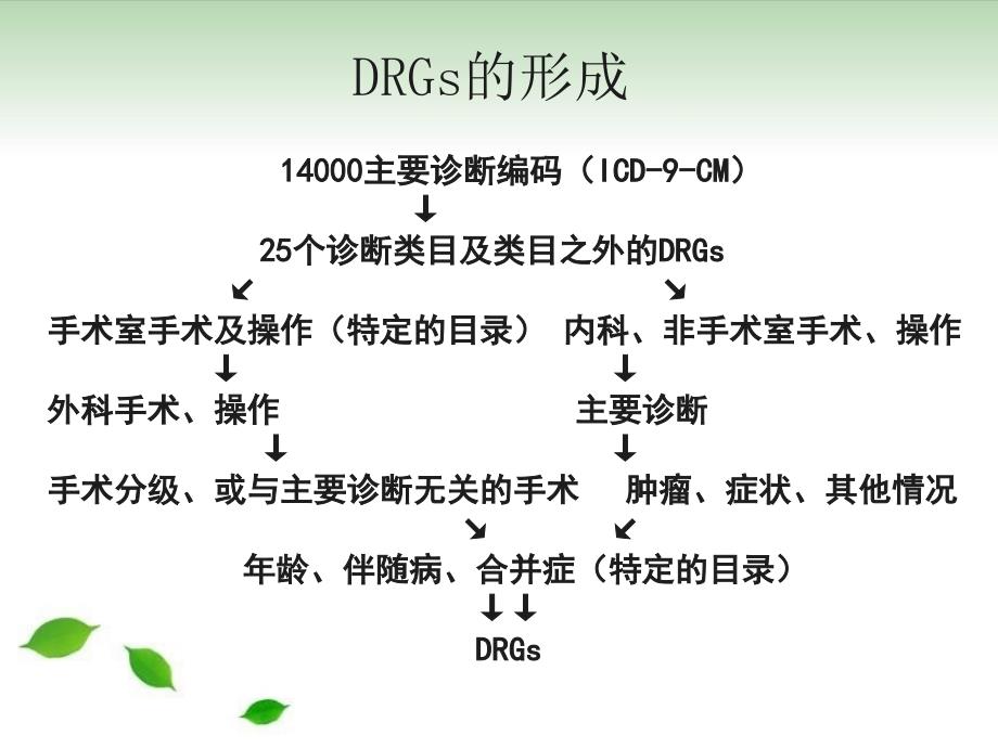 DRGsDRGs-PPS相关情况介绍疾病诊断与主要诊断的选择原则电子教案_第3页