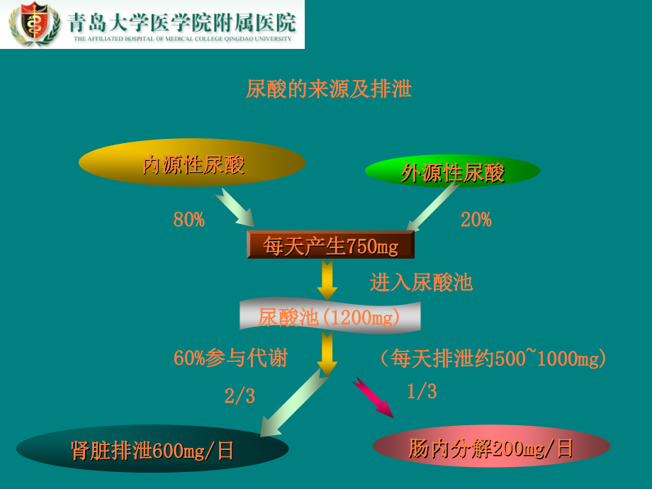 高尿酸血症现代认识及防治策略ppt课件_第4页