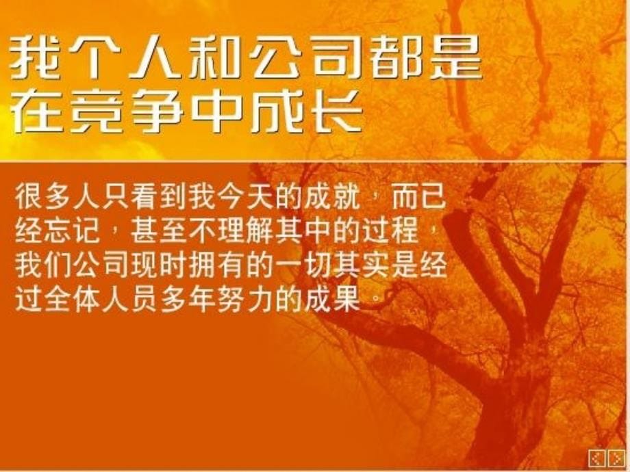 {决策管理}管理者擅做决策讲义_第5页