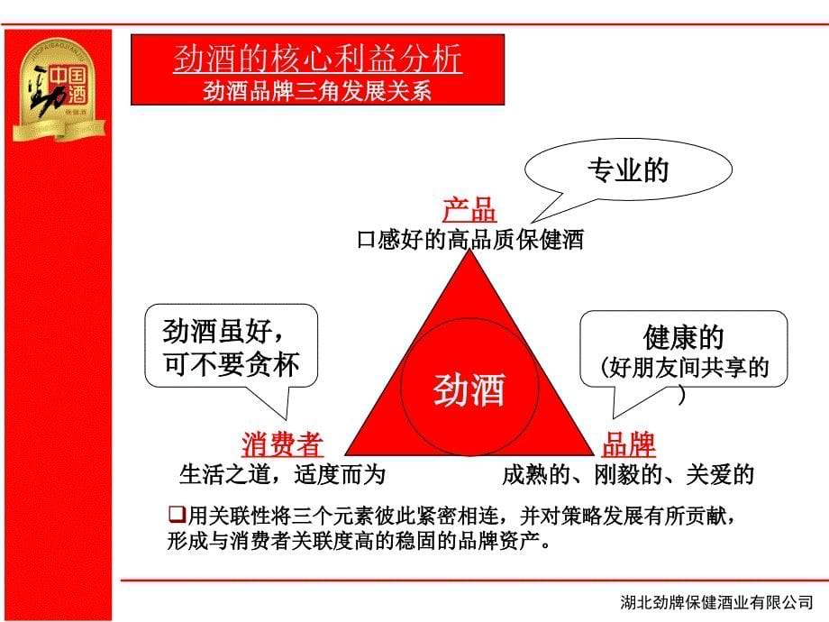 劲酒品牌策略及广告片创意策略(修订稿)课件_第5页