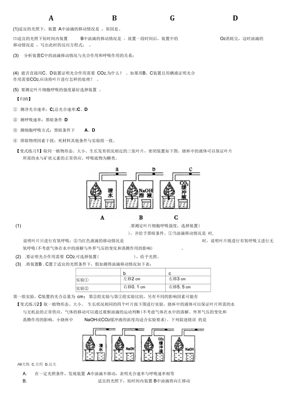 光合与呼吸(总结)_第3页