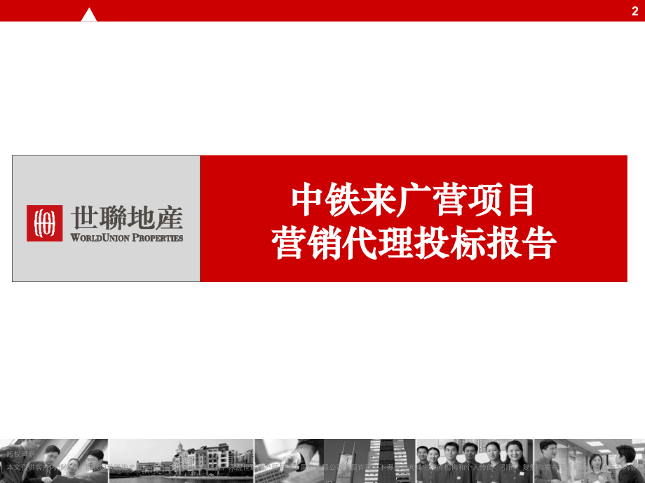 {标书投标}某地区项目管理及营销管理知识投标报告分析_第2页