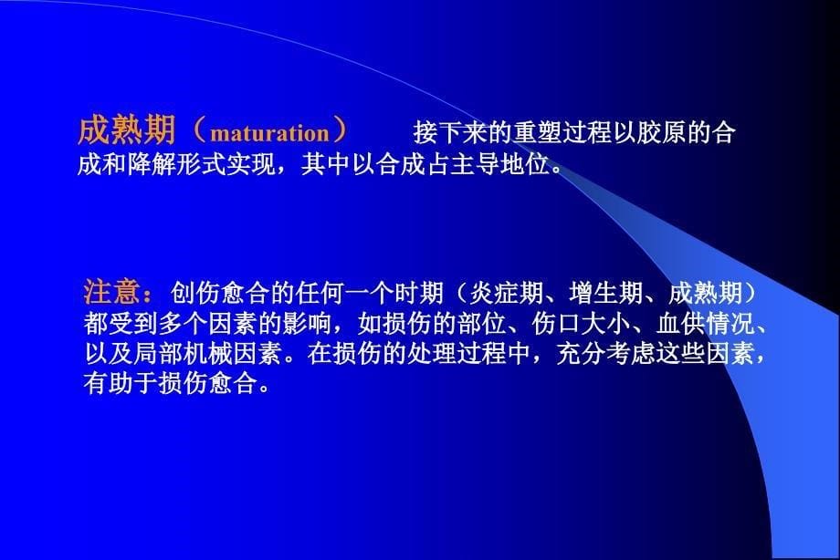 肌肉骨骼组织的病理生理及ppt课件_第5页