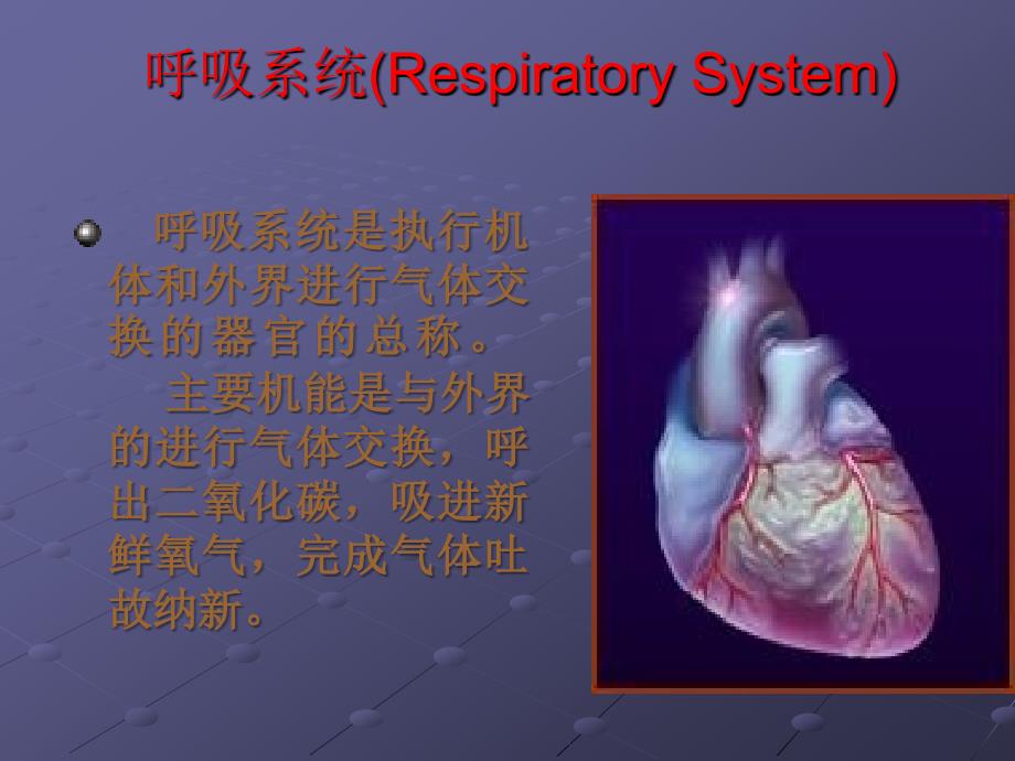呼吸系统(Respiratory System)ppt课件_第1页