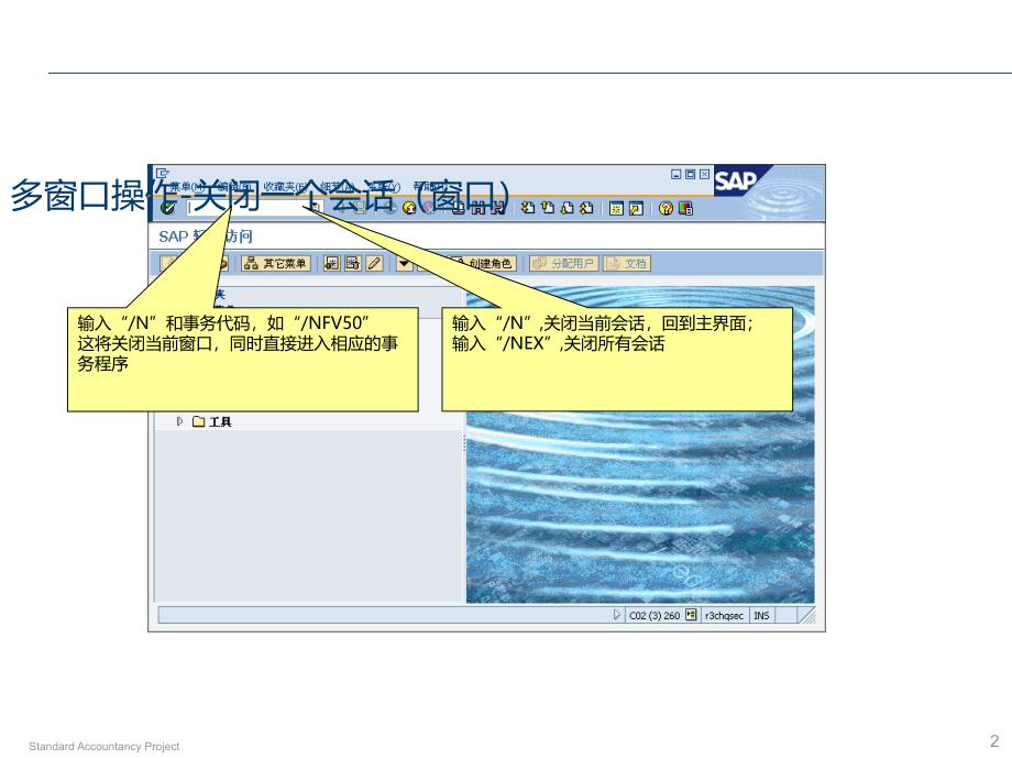 {管理信息化SAP实施}SAP总账GL模块PPT培训1)_第2页