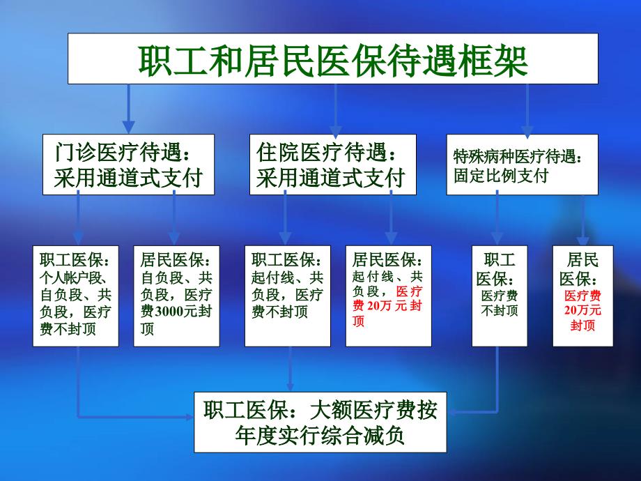 定点机构政策培训稿教学教案_第3页