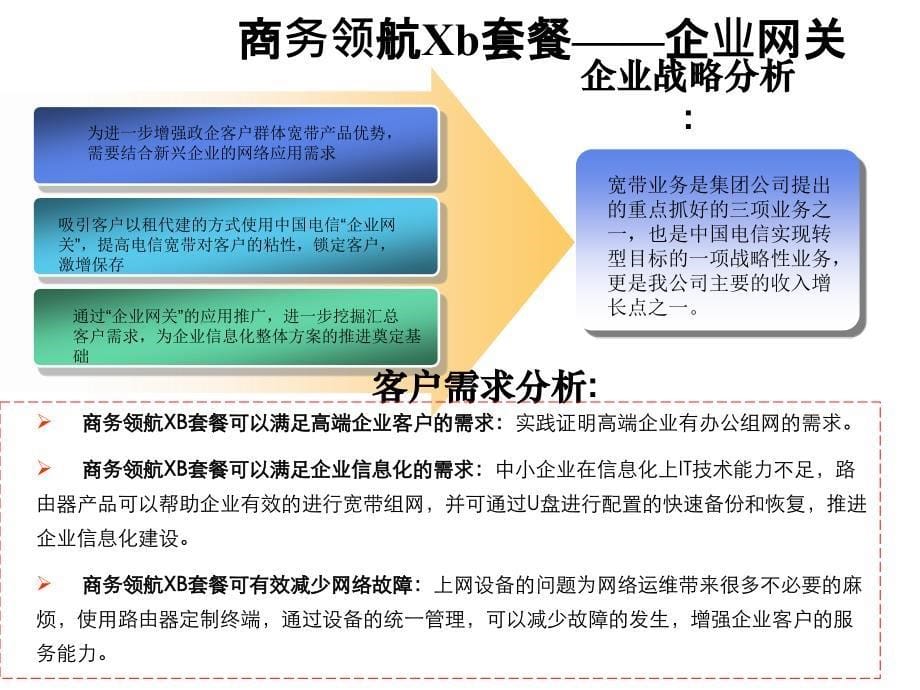 {产品管理产品规划}中国电信ICT产品业务内部培训_第5页