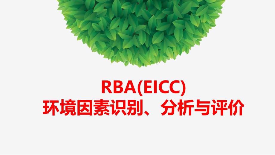 RBA(EICC)环境因素识别、分析与评价40_第1页