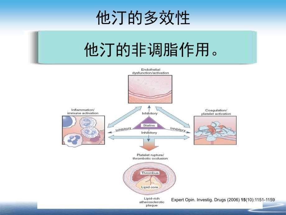 他汀多效性完整版幻灯片资料_第5页