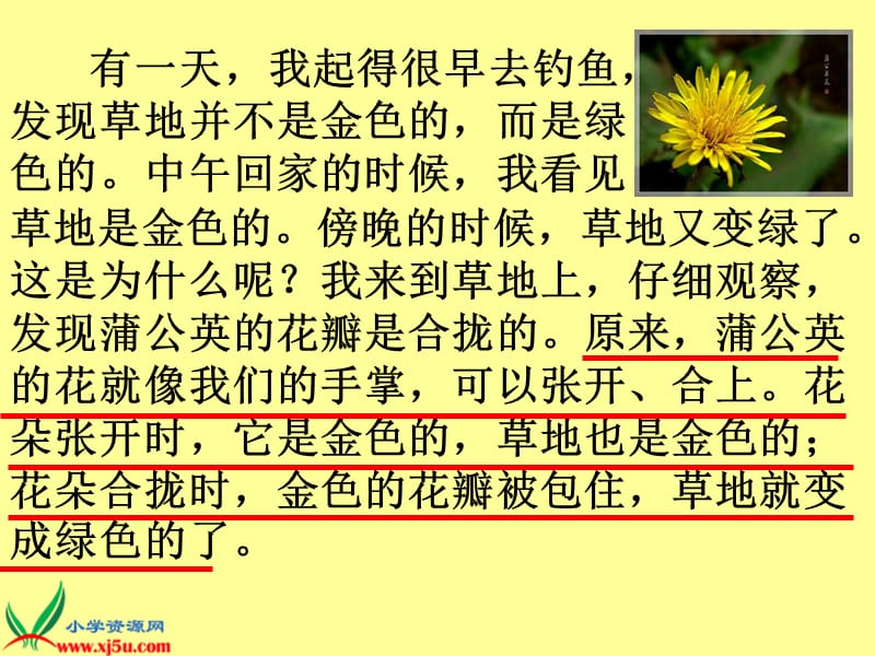 课件人教新课标三年级语文上册《金色的草地 10》PPT课件_第4页