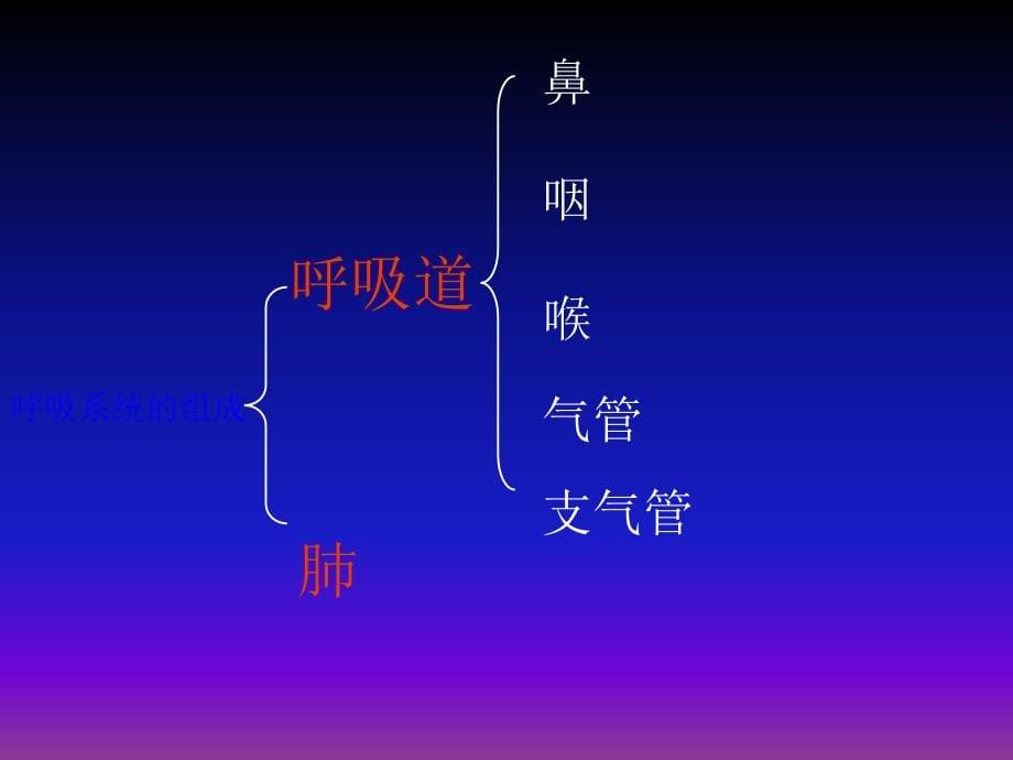 呼吸道对空气的处理(好)ppt课件_第5页