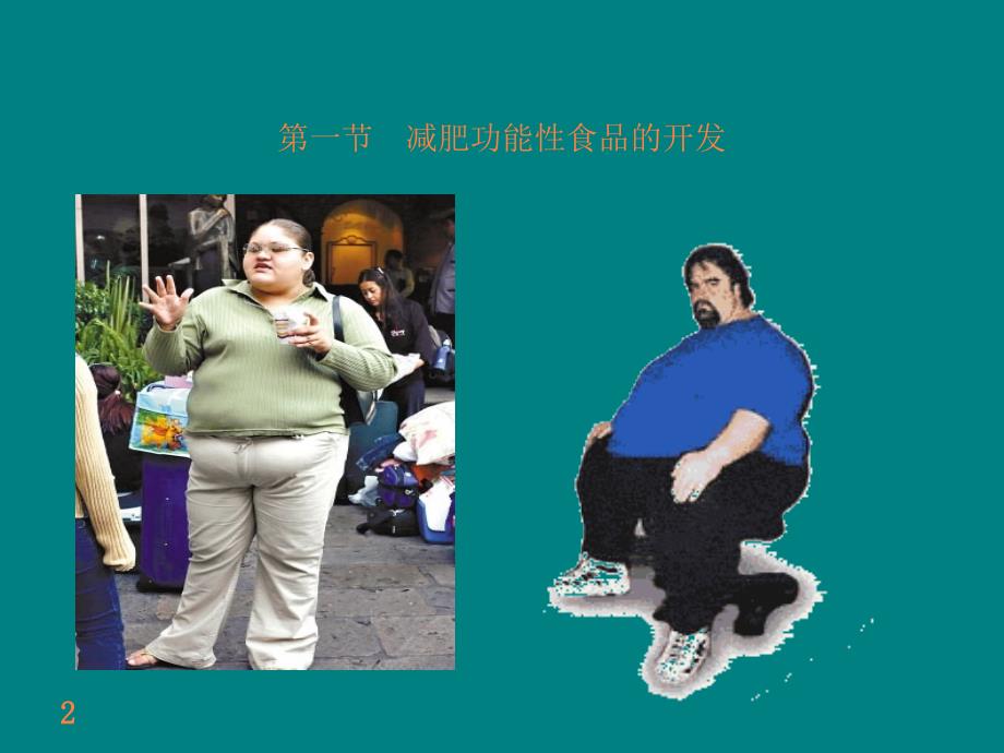 第五章_女性功能性食品的开发ppt课件_第2页