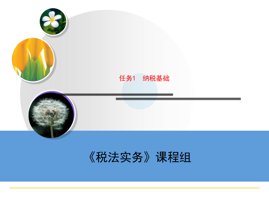 {财务管理税务规划}任务纳税基础_第1页