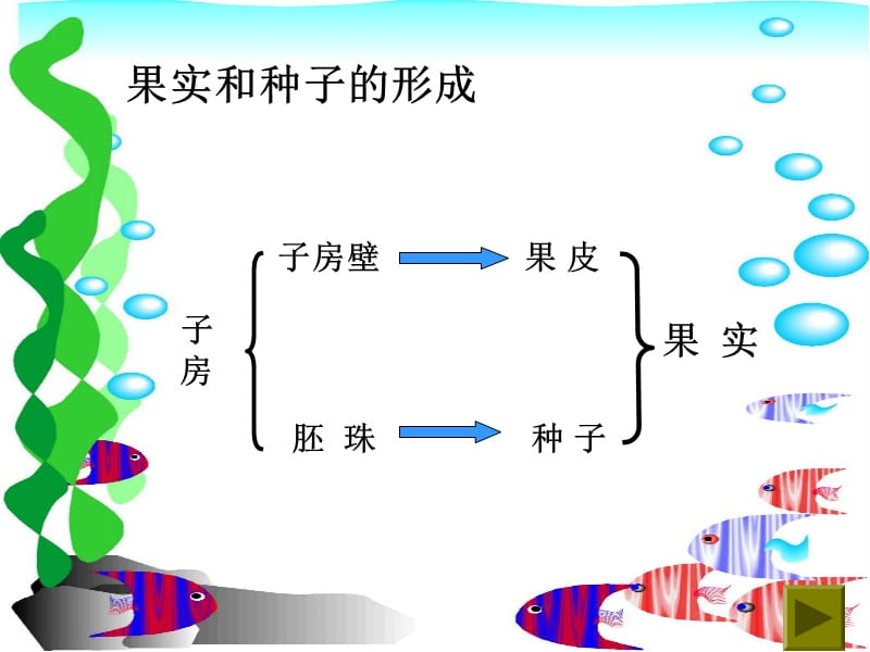 课件果实和种子课件PPT下载 苏教版三年级科学下册课件_第2页