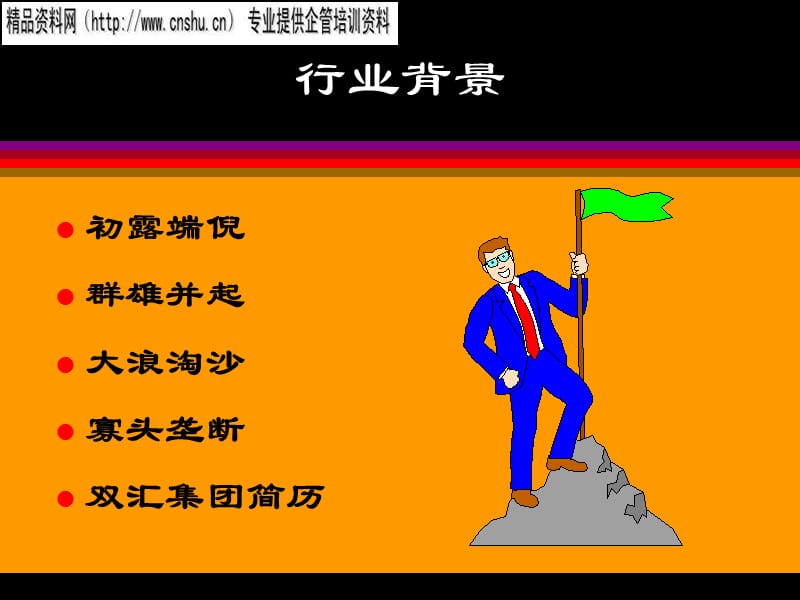 {财务管理财务分析}双汇集团年度财务分析_第3页