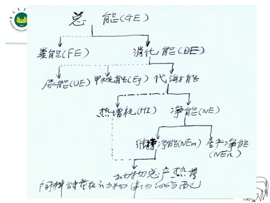 {价值管理}饲料能量价值评定_第5页