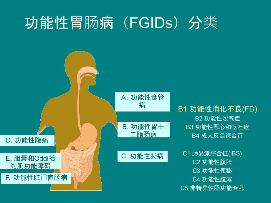 功能性消化不良的诊治规范ppt课件_第3页