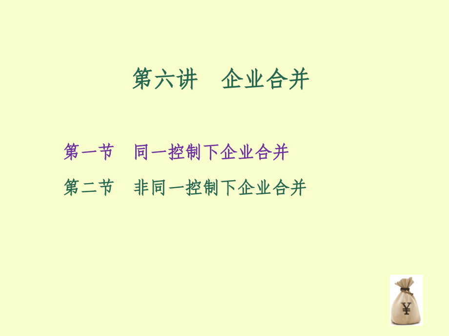 {财务管理财务会计}高级财务会计学讲企业合并_第2页