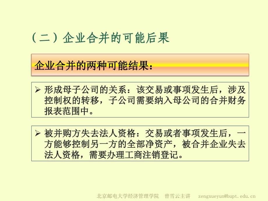 {财务管理财务会计}高级财务会计学讲企业合并_第5页