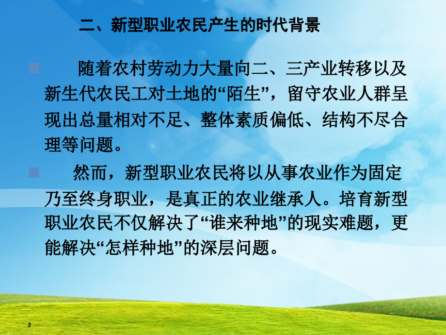 {产品管理产品规划}新型职业农民现代农产品经营培训讲义_第3页