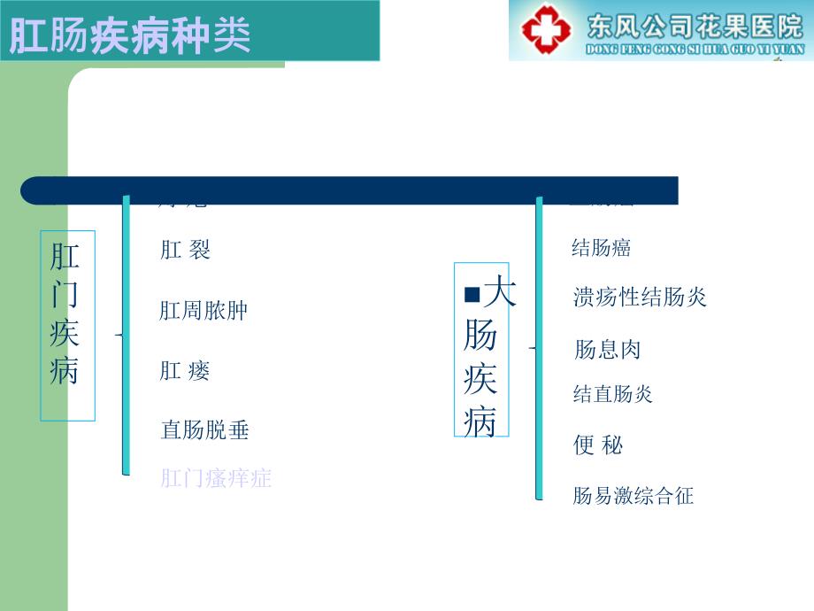 肛肠疾病健康宣教(改)ppt课件_第4页