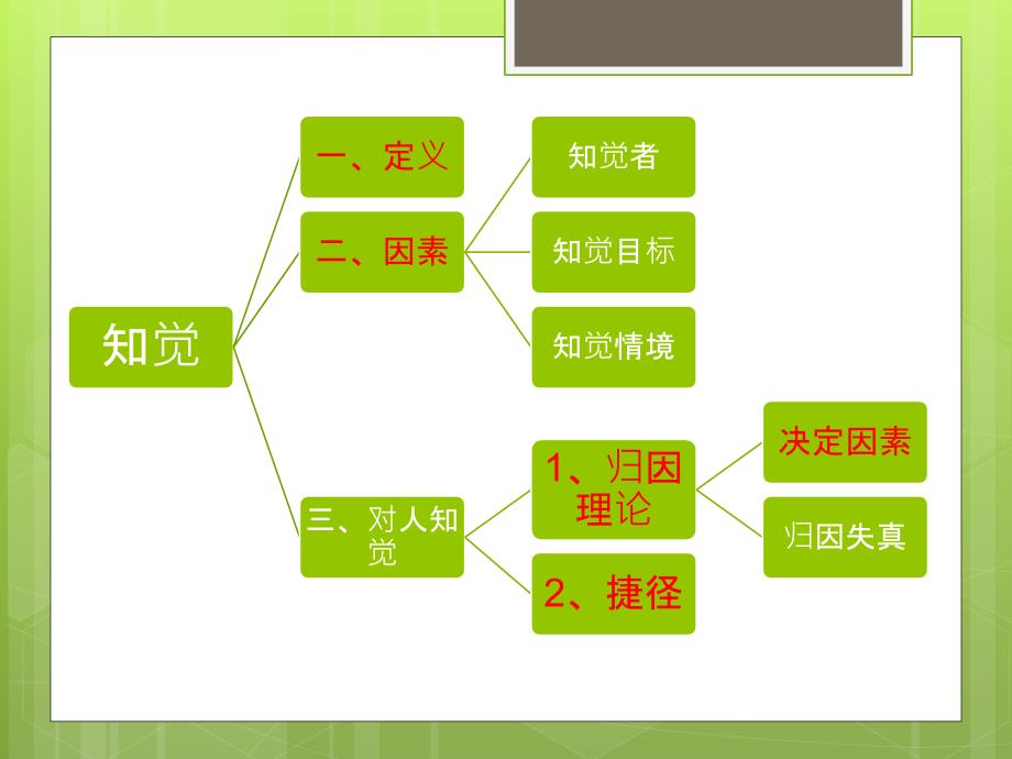 {决策管理}知觉与个体决策培训课件_第3页