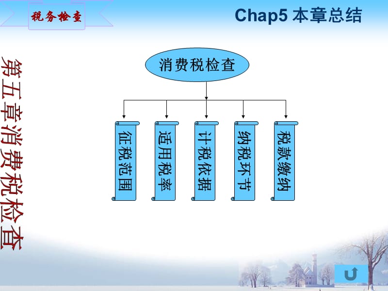 {财务管理税务规划}五消费税检查_第4页