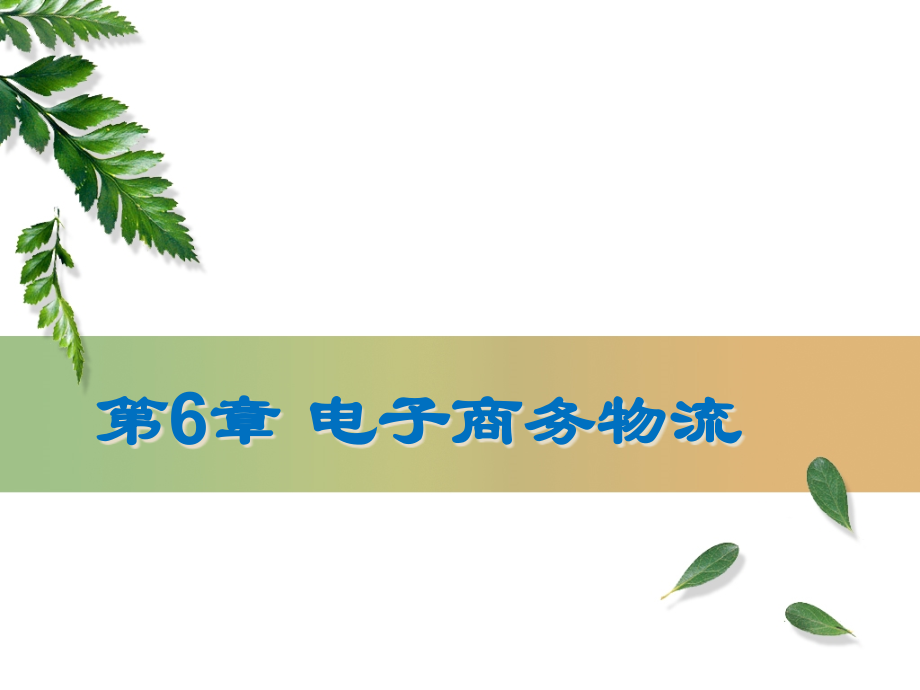 {管理信息化电子商务}6电子商务物流_第1页