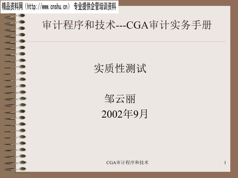 {财务管理内部审计}审计程序和技术培训手册_第1页