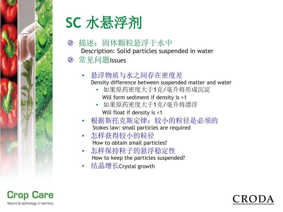 包礼SCulations水悬浮剂课件_第2页