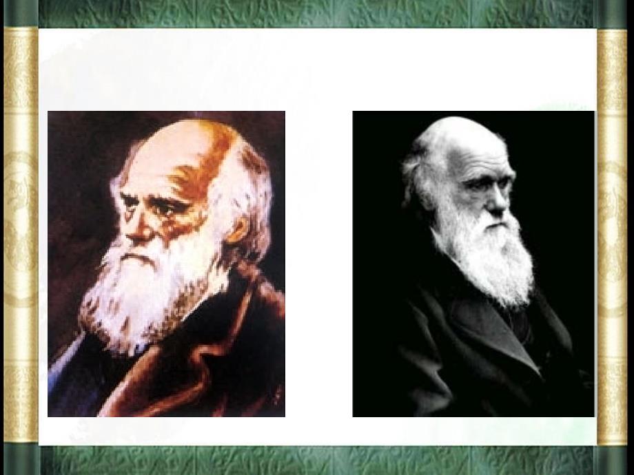 课件达尔文和他的“进化论”课件PPT下载 苏教版六年级科学下册课件_第2页
