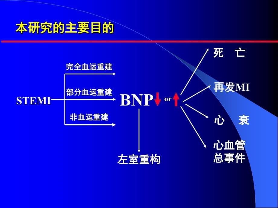 {价值管理}BNP在ACS危险分层及预后中的价值研究_第5页