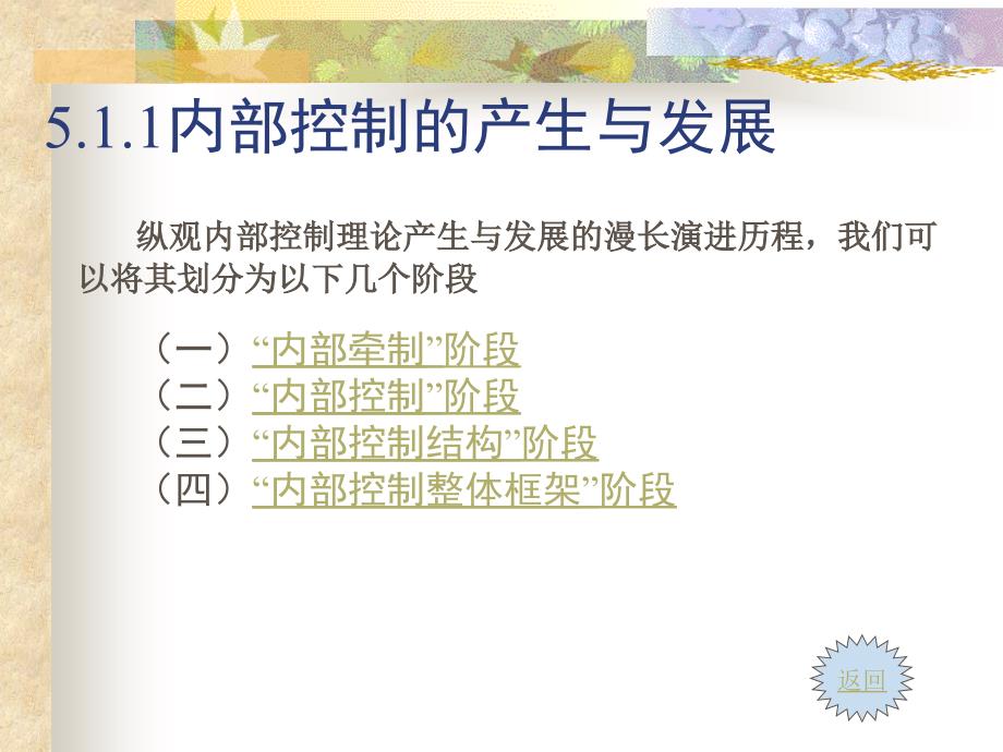 {财务管理内部控制}内部控制及其评审_第3页