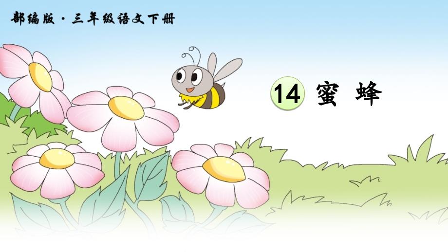 小学三年级下册额《蜜蜂》部编版课件_第2页