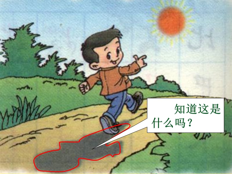 部编版小学语文一年级（上册）《影子》优秀教学课件._第3页