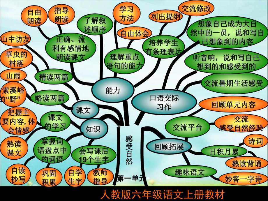 六年级上册1~3单元知识树_第2页