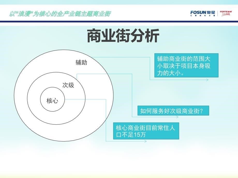 全产业链主题商业街街定位策划方案_第5页