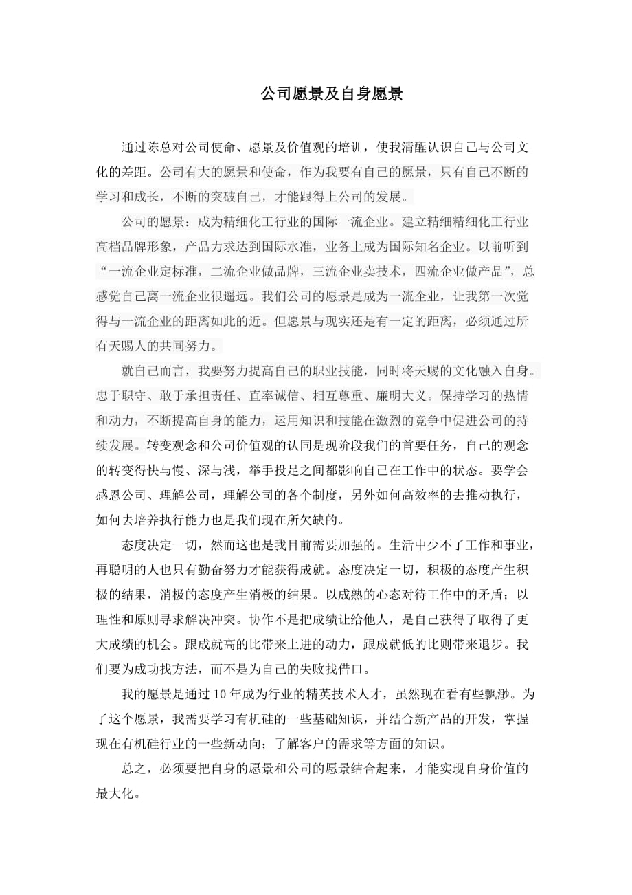 公司愿景学习体会.doc_第1页