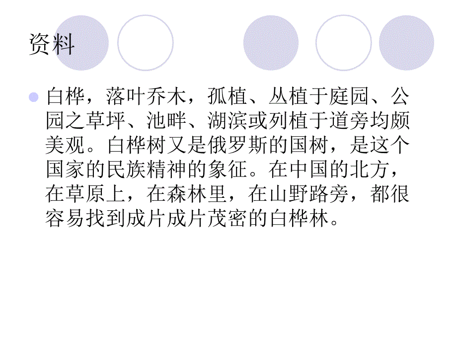 六年级上语文课件-白桦人教新课标_第2页