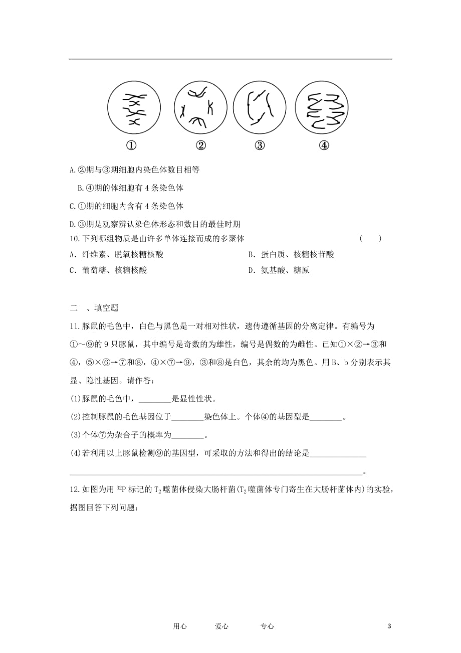 2012年高三生物 二轮专题练习11 新课标.doc_第3页